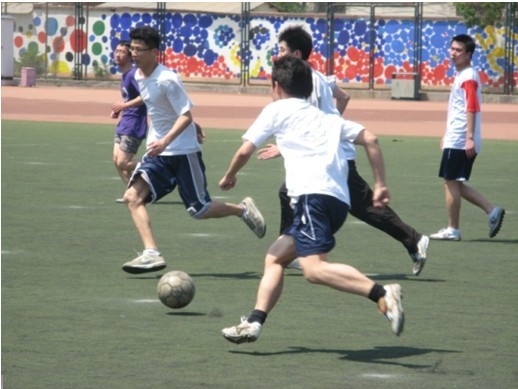 数据显示他 数据显示他